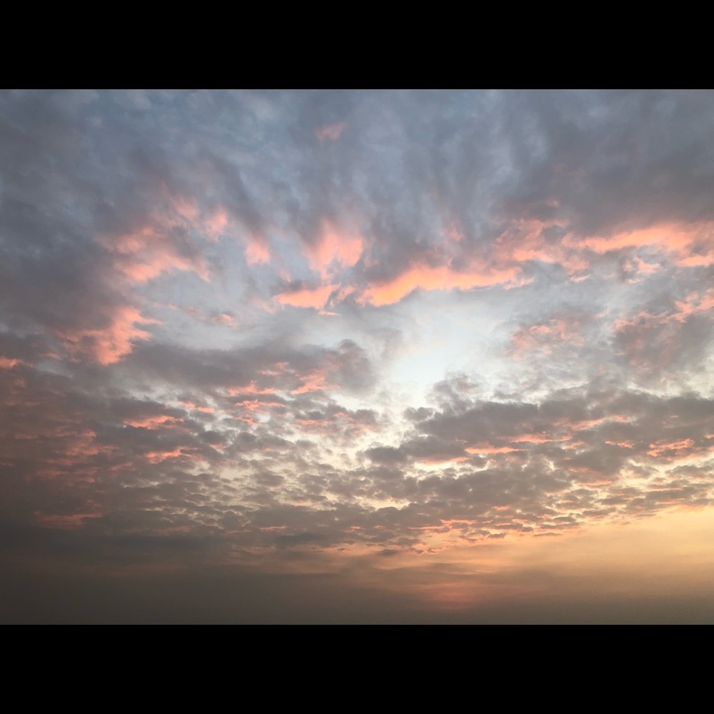 Meet your Posher, Jazz